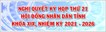 https://hdnd.namdinh.gov.vn/portal/pages/van-ban/v.aspx?uid=1922